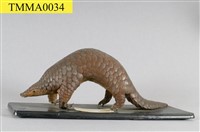 海南穿山甲藏品圖，第7張